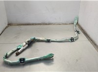  Подушка безопасности боковая (шторка) Volkswagen Passat 6 2005-2010 20642434 #1