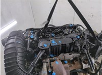 166F12FU00 Двигатель (ДВС) Hyundai ix 35 2010-2015 20642944 #19
