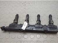 1208020, 24420584 Катушка зажигания Opel Corsa D 2006-2014 20642984 #4