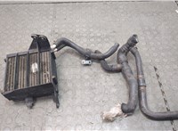  Радиатор охлаждения двигателя Audi TT (8N) 1998-2006 20643111 #2