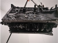  Блок цилиндров (Шорт блок) Mercedes ML W163 1997-2005 20643119 #9