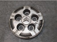  Колпак колесный Citroen Jumper (Relay) 2006-2014 20643289 #1