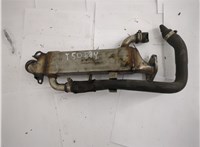  Охладитель отработанных газов Mercedes ML W163 1997-2005 20643744 #1