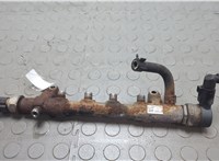 03L130089J Рампа (рейка) топливная Volkswagen Crafter 2006-2016 20644375 #1