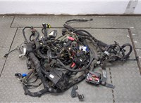  Жгут проводов управления двигателем Alfa Romeo Stelvio 2016-2025 20644481 #1