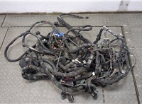  Жгут проводов управления двигателем Alfa Romeo Stelvio 2016-2025 20644481 #3