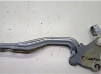  Петля капота Chevrolet Bolt 2016-2021 20644999 #1