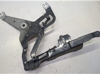 7234529 Петля капота BMW X5 F15 2013-2018 20645430 #1