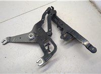 7294530 Петля капота BMW X5 F15 2013-2018 20645435 #2