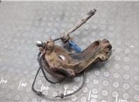 364691, 330776 Ступица (кулак, цапфа) Peugeot 207 2006-2015 20645999 #3