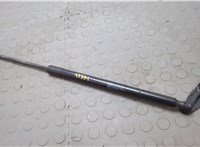  Амортизатор крышки багажника Nissan Pathfinder 2012-2020 20646139 #1