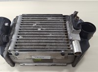  Радиатор интеркулера Audi A6 (C5) Allroad 2000-2006 20646549 #1