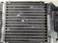  Радиатор интеркулера Audi A6 (C5) Allroad 2000-2006 20646549 #2