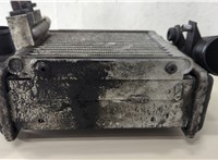 Радиатор интеркулера Audi A6 (C5) Allroad 2000-2006 20646549 #5