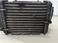  Радиатор интеркулера Audi A6 (C5) Allroad 2000-2006 20646549 #7