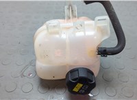  Бачок расширительный Mini Countryman (R60) 2010-2016 20643968 #1