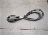 Уплотнитель Lincoln Nautilus 2018-2023 20646822 #1