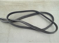  Уплотнитель Acura RL 2004-2012 20646826 #2