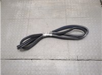 Уплотнитель Acura RL 2004-2012 20646834 #1