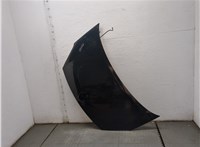  Капот Peugeot Partner 2008-2012 20647109 #1