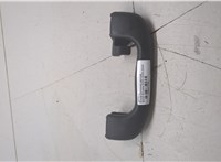 42687358, 42687355 Ручка потолка салона Buick Envista 2022-2025 20647156 #1