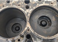  Блок цилиндров (Шорт блок) Ford Transit 2000-2006 20647186 #8