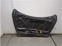 5900A129 Капот Mitsubishi Grandis 20647232 #5