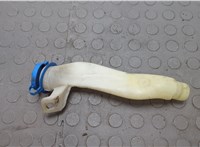  Горловина заливная бачка омывателя Mercedes GL X164 2006-2012 20647494 #3