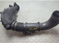  Измеритель потока воздуха (расходомер) Citroen Jumper (Relay) 2014-2025 11527445 #1