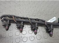  Форсунка топливная Renault Megane 3 2009-2016 20648242 #1