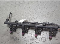  Форсунка топливная Renault Megane 3 2009-2016 20648242 #4