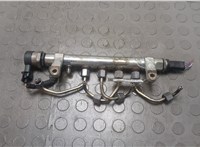  Рампа (рейка) топливная Citroen C-Crosser 2007-2013 20648619 #1