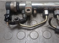  Рампа (рейка) топливная Citroen C-Crosser 2007-2013 20648619 #2