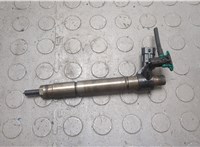 1980J8, 0445115025 Форсунка топливная Citroen C-Crosser 2007-2013 20648625 #1