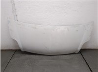 7751474717 Капот Renault Master 1998-2010 20648686 #1