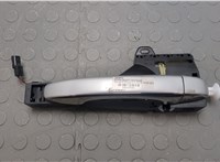 806068026R, 806064489R Ручка двери наружная Renault Megane 4 2016-2020 20649556 #1