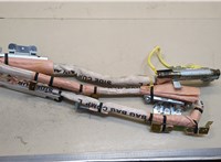  Подушка безопасности боковая (шторка) Honda Accord 7 2003-2007 20650321 #1
