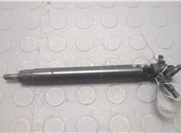 EMBR00101D Форсунка топливная Ford Focus 3 2011-2015 20651068 #1