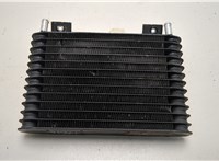 6L2Z7A095 Радиатор АКПП Ford Explorer 2006-2010 20651151 #1