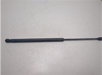 1212586, 2N11N406A10AD Амортизатор крышки багажника Ford Fusion 2002-2012 20651314 #2