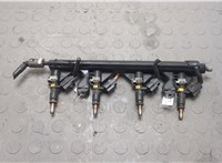  Форсунка топливная Peugeot 308 2007-2013 20651660 #1