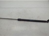 904511JA2A Амортизатор крышки багажника Nissan Quest 2010-2018 20651983 #1