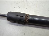 904511JA2A Амортизатор крышки багажника Nissan Quest 2010-2018 20651983 #3