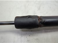 904511JA2A Амортизатор крышки багажника Nissan Quest 2010-2018 20651983 #4