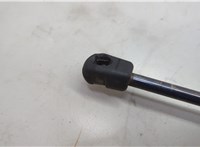 904511JA2A Амортизатор крышки багажника Nissan Quest 2010-2018 20651983 #5