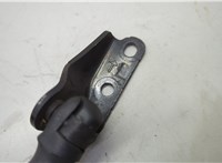 904511JA2A Амортизатор крышки багажника Nissan Quest 2010-2018 20651983 #6