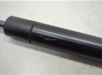 74820SHJA71 Амортизатор крышки багажника Honda Odyssey 2004-2008 20651997 #5
