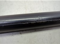 6l2478406a10ad Амортизатор крышки багажника Ford Explorer 2006-2010 20652022 #4