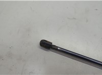 6l2478406a11ad Амортизатор крышки багажника Ford Explorer 2006-2010 20652032 #2