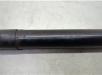 6l2478406a11ad Амортизатор крышки багажника Ford Explorer 2006-2010 20652032 #4